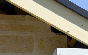 soffit repair Fishpools
